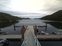 ./images/calvert/dock/20170815/dock20170815_160004.jpg