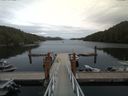 ./images/calvert/dock/20170815/dock20170815_161004.jpg