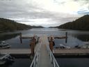 ./images/calvert/dock/20170815/dock20170815_170504.jpg