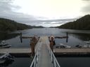 ./images/calvert/dock/20170815/dock20170815_173503.jpg