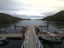 ./images/calvert/dock/20170815/dock20170815_190004.jpg