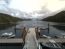 ./images/calvert/dock/20170816/dock20170816_144004.jpg