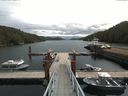 ./images/calvert/dock/20170817/dock20170817_113504.jpg