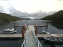 ./images/calvert/dock/20170819/dock20170819_132504.jpg