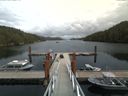 ./images/calvert/dock/20170819/dock20170819_142004.jpg