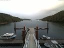 ./images/calvert/dock/20170821/dock20170821_094504.jpg