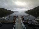 ./images/calvert/dock/20170826/dock20170826_174002.jpg