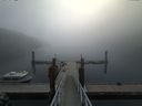 ./images/calvert/dock/20170828/dock20170828_111002.jpg