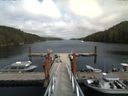 ./images/calvert/dock/20170829/dock20170829_152003.jpg
