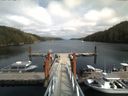 ./images/calvert/dock/20170829/dock20170829_152503.jpg