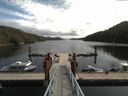 ./images/calvert/dock/20170831/dock20170831_123004.jpg
