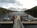 ./images/calvert/dock/20170831/dock20170831_125001.jpg