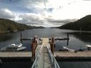 ./images/calvert/dock/20170831/dock20170831_130504.jpg
