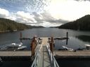 ./images/calvert/dock/20170831/dock20170831_131002.jpg