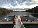 ./images/calvert/dock/20170831/dock20170831_132503.jpg