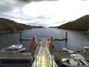 ./images/calvert/dock/20170901/dock20170901_064004.jpg
