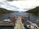 ./images/calvert/dock/20170901/dock20170901_065001.jpg