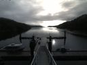 ./images/calvert/dock/20170903/dock20170903_085004.jpg