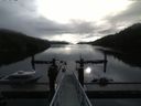 ./images/calvert/dock/20170903/dock20170903_085502.jpg