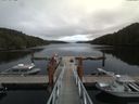 ./images/calvert/dock/20170903/dock20170903_135002.jpg