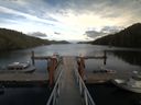 ./images/calvert/dock/20170908/dock20170908_163001.jpg