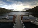 ./images/calvert/dock/20170908/dock20170908_163503.jpg
