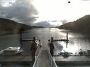 ./images/calvert/dock/20170909/dock20170909_094004.jpg