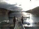./images/calvert/dock/20170909/dock20170909_094504.jpg