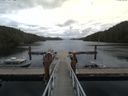 ./images/calvert/dock/20170909/dock20170909_140504.jpg