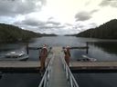 ./images/calvert/dock/20170909/dock20170909_141002.jpg