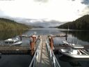 ./images/calvert/dock/20170909/dock20170909_155504.jpg