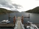 ./images/calvert/dock/20170910/dock20170910_105504.jpg