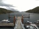 ./images/calvert/dock/20170910/dock20170910_113502.jpg