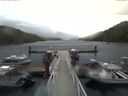 ./images/calvert/dock/20170910/dock20170910_162004.jpg