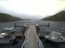 ./images/calvert/dock/20170910/dock20170910_165503.jpg