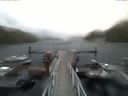 ./images/calvert/dock/20170910/dock20170910_171502.jpg