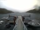 ./images/calvert/dock/20170910/dock20170910_172004.jpg
