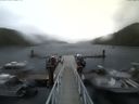 ./images/calvert/dock/20170910/dock20170910_174503.jpg