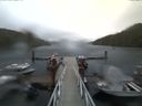 ./images/calvert/dock/20170910/dock20170910_181002.jpg