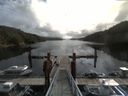 ./images/calvert/dock/20170911/dock20170911_111504.jpg