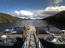 ./images/calvert/dock/20170911/dock20170911_145504.jpg