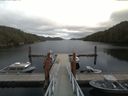 ./images/calvert/dock/20170916/dock20170916_143003.jpg