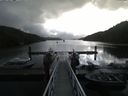 ./images/calvert/dock/20170917/dock20170917_103502.jpg