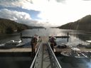./images/calvert/dock/20170917/dock20170917_111504.jpg