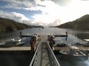 ./images/calvert/dock/20170917/dock20170917_112002.jpg