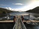 ./images/calvert/dock/20170917/dock20170917_113502.jpg