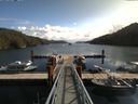 ./images/calvert/dock/20170917/dock20170917_114503.jpg
