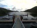 ./images/calvert/dock/20170917/dock20170917_125004.jpg