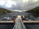 ./images/calvert/dock/20170917/dock20170917_131503.jpg
