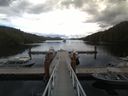 ./images/calvert/dock/20170918/dock20170918_135504.jpg